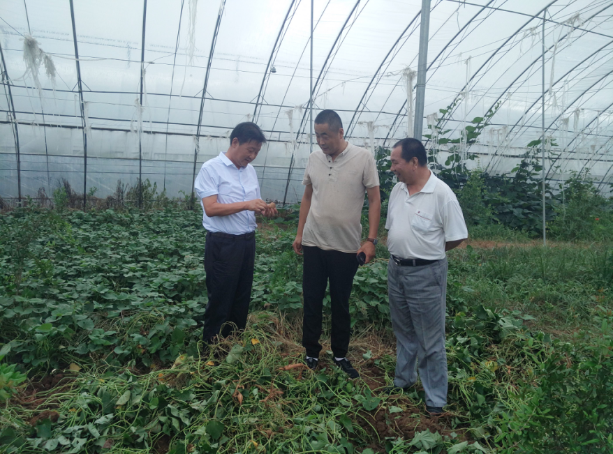 岳氏集團(tuán)董事長岳平安赴博浩高效農(nóng)業(yè)示范基地